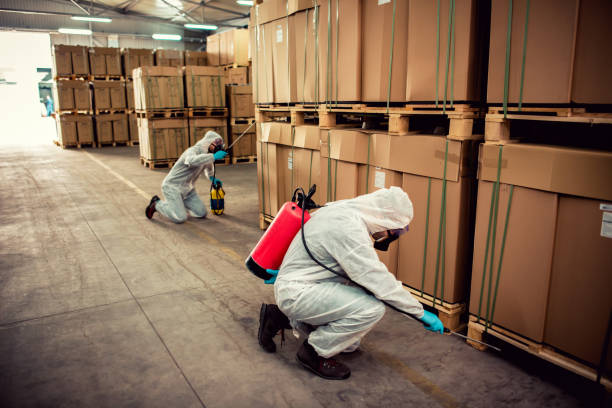 Best Emergency Pest Control  in East Village, CT