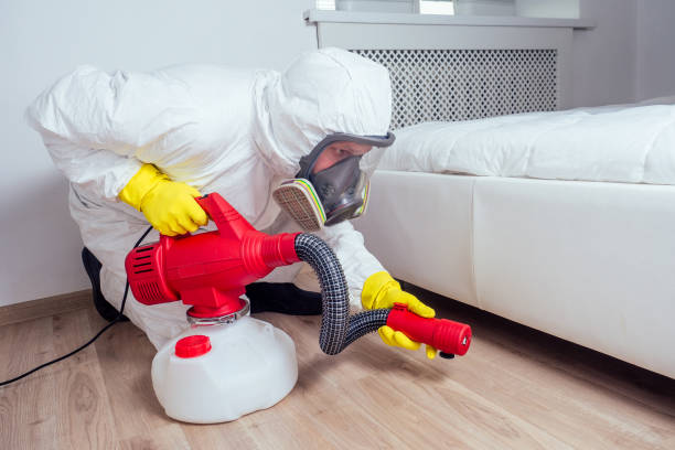 Best Bed Bug Extermination  in East Village, CT