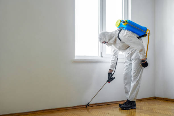 Best Exterminator Services  in East Village, CT