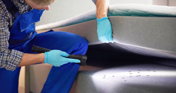 Best Best Pest Control Companies  in East Village, CT