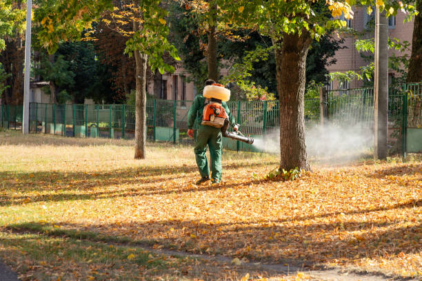 Best Affordable Pest Control Services  in East Village, CT